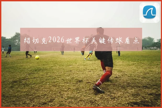 绍切克2026世界杯关键传球看点