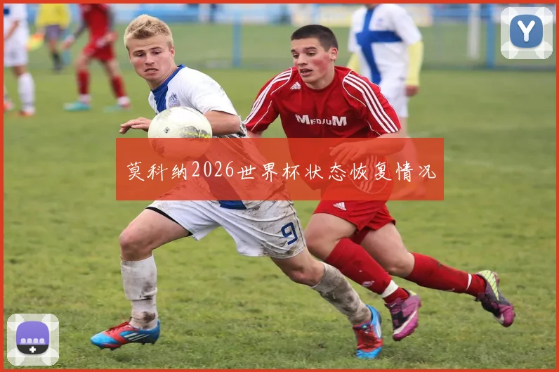 莫科纳2026世界杯状态恢复情况
