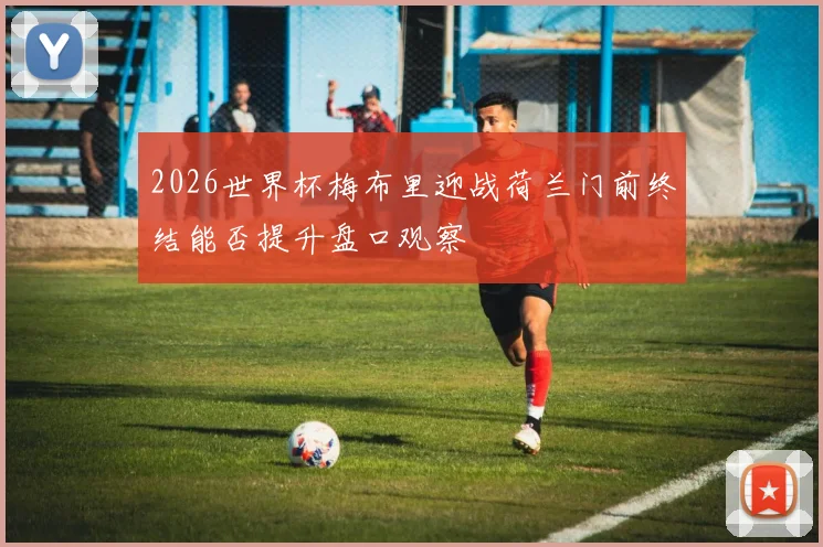 2026世界杯梅布里迎战荷兰门前终结能否提升盘口观察